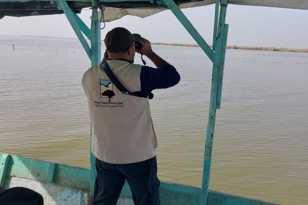 Waterbird Identification and Survey Techniques Training